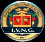 IVNG - Istituto Vigilanza Notturna Gallarate